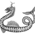 Arianna Fioratti Loreto artist